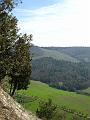 Fiesole - Parco di Montececeri-26